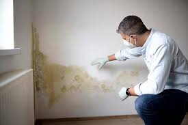 Best Air Quality Testing for Mold Spores  in Bluffton, IN